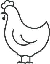 poulet