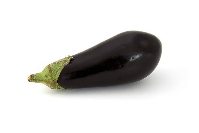 decouv-retz-produits-frais-et-locaux-chez-vous-en-un-clic-livraison-pornic-agglo-et-pays-de-retz-legumes-aubergine-1