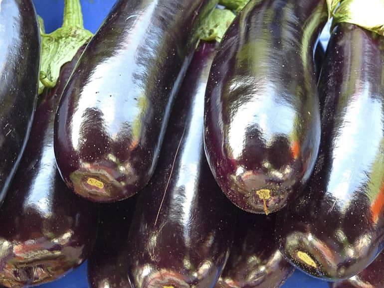 decouv-retz-produits-frais-et-locaux-chez-vous-en-un-clic-livraison-pornic-agglo-et-pays-de-retz-legumes-aubergine-tas