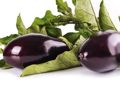 decouv-retz-produits-frais-et-locaux-chez-vous-en-un-clic-livraison-pornic-agglo-et-pays-de-retz-legumes-aubergines