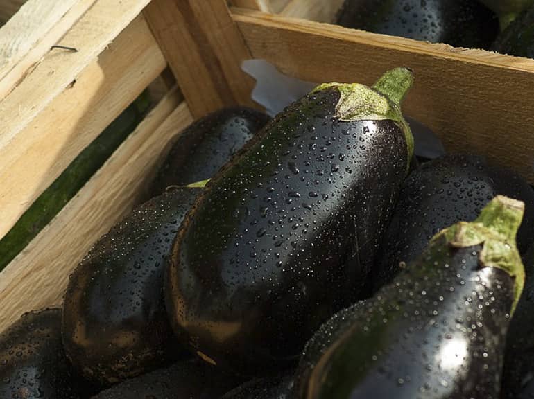decouv-retz-produits-frais-et-locaux-chez-vous-en-un-clic-livraison-pornic-agglo-et-pays-de-retz-legumes-aubergines-cagette