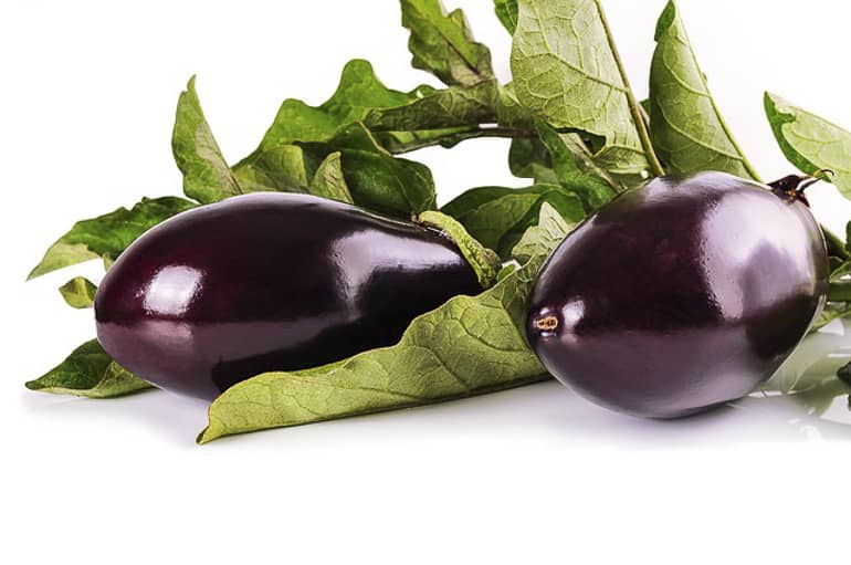 decouv-retz-produits-frais-et-locaux-chez-vous-en-un-clic-livraison-pornic-agglo-et-pays-de-retz-legumes-aubergines