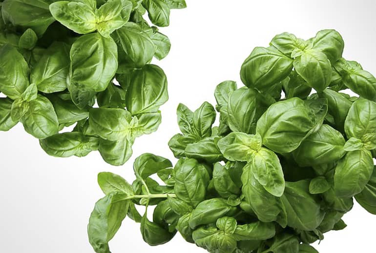 decouv-retz-produits-frais-et-locaux-chez-vous-en-un-clic-livraison-pornic-agglo-et-pays-de-retz-legumes-basilic-bouquet