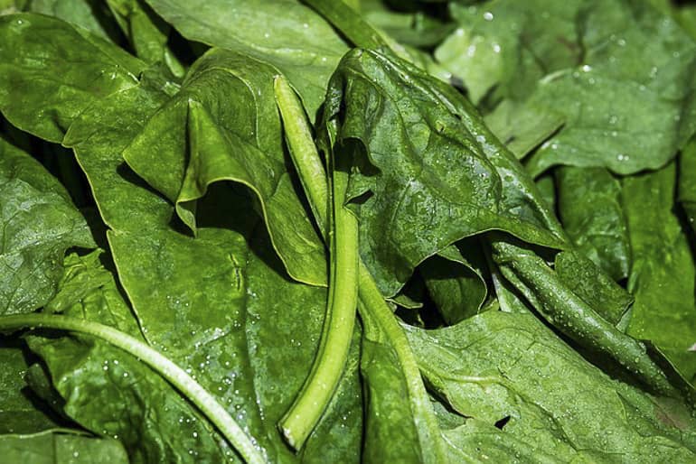 decouv-retz-produits-frais-et-locaux-chez-vous-en-un-clic-livraison-pornic-agglo-et-pays-de-retz-legumes-branches-epinards