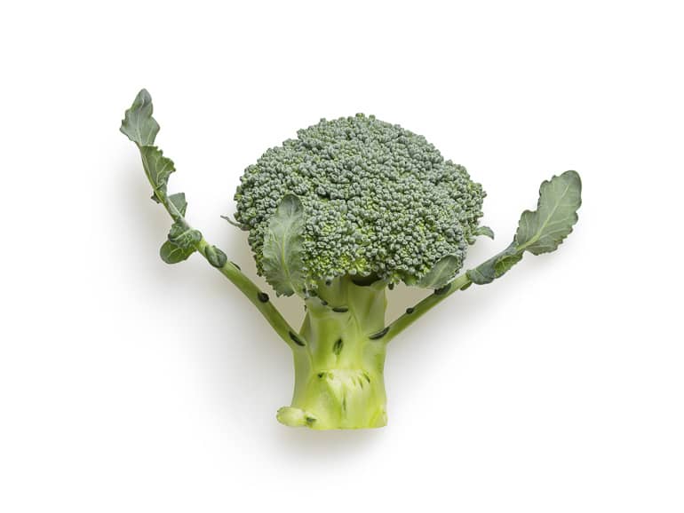 decouv-retz-produits-frais-et-locaux-chez-vous-en-un-clic-livraison-pornic-agglo-et-pays-de-retz-legumes-brocoli-gagnant