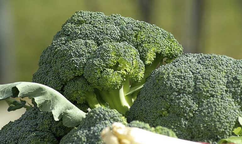 decouv-retz-produits-frais-et-locaux-chez-vous-en-un-clic-livraison-pornic-agglo-et-pays-de-retz-legumes-brocoli