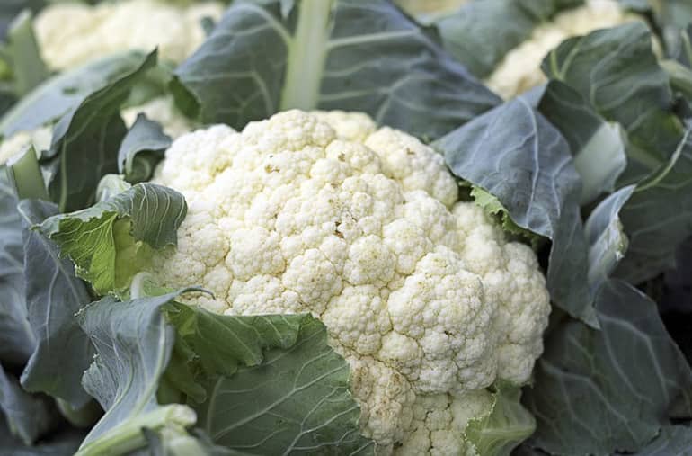 decouv-retz-produits-frais-et-locaux-chez-vous-en-un-clic-livraison-pornic-agglo-et-pays-de-retz-legumes-chou-fleur-2