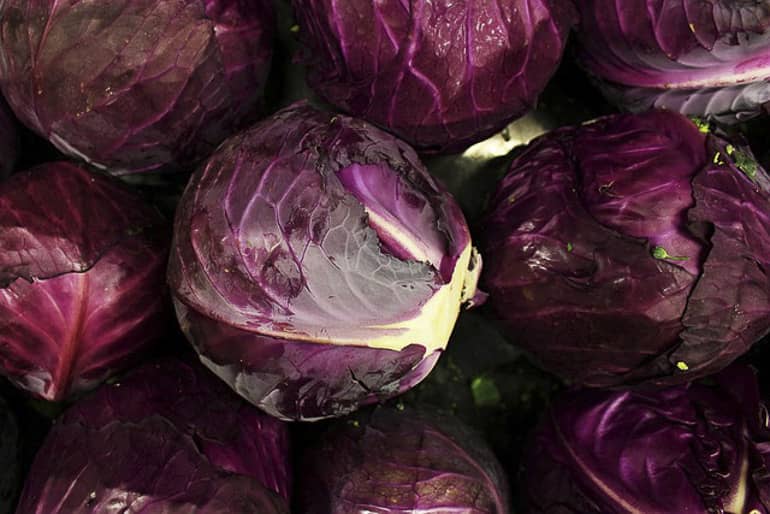 decouv-retz-produits-frais-et-locaux-chez-vous-en-un-clic-livraison-pornic-agglo-et-pays-de-retz-legumes-chou-rouge-4