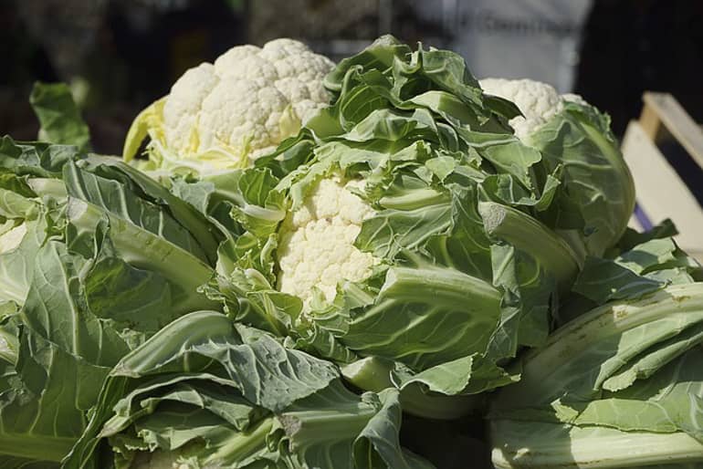decouv-retz-produits-frais-et-locaux-chez-vous-en-un-clic-livraison-pornic-agglo-et-pays-de-retz-legumes-choux-fleurs-3