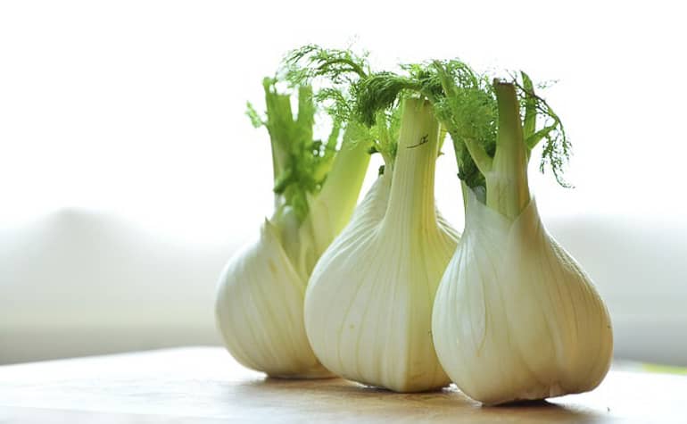 decouv-retz-produits-frais-et-locaux-chez-vous-en-un-clic-livraison-pornic-agglo-et-pays-de-retz-legume-fenouil