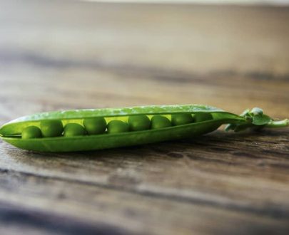 decouv-retz-produits-frais-et-locaux-chez-vous-en-un-clic-livraison-pornic-agglo-et-pays-de-retz-legumes-petits-pois-5