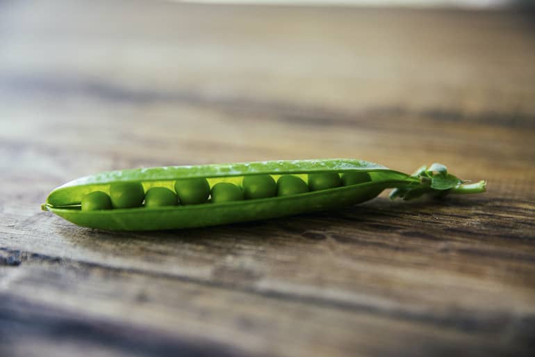 decouv-retz-produits-frais-et-locaux-chez-vous-en-un-clic-livraison-pornic-agglo-et-pays-de-retz-legumes-petits-pois-5