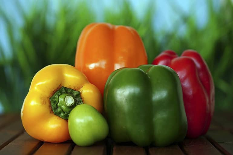decouv-retz-produits-frais-et-locaux-chez-vous-en-un-clic-livraison-pornic-agglo-et-pays-de-retz-legumes-poivron-jaune-rouge-orange-vert