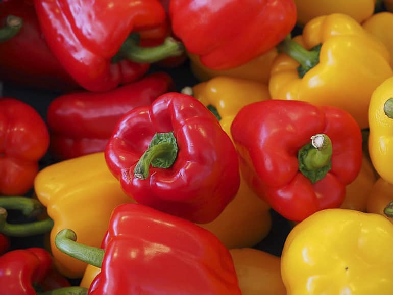 decouv-retz-produits-frais-et-locaux-chez-vous-en-un-clic-livraison-pornic-agglo-et-pays-de-retz-legumes-poivrons-rouges-et-jaunes