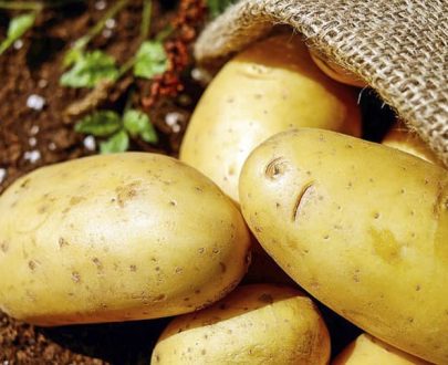 decouv-retz-produits-frais-et-locaux-chez-vous-en-un-clic-livraison-pornic-agglo-et-pays-de-retz-legumes-pomme-de-terre-sac