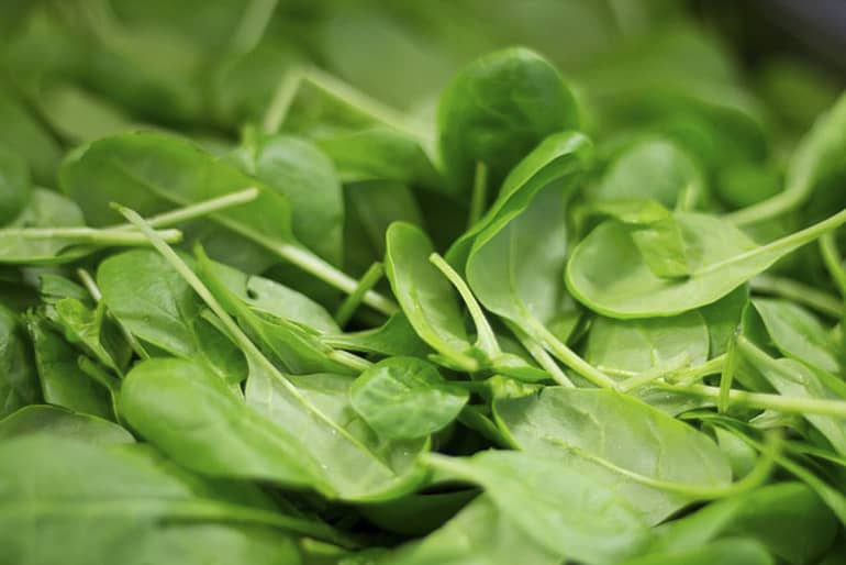 decouv-retz-produits-frais-et-locaux-chez-vous-en-un-clic-livraison-pornic-agglo-et-pays-de-retz-legumes-pousse-epinard