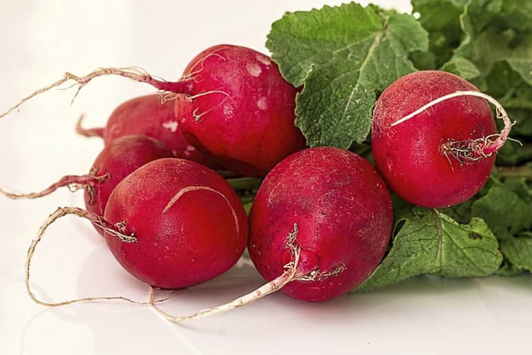 decouv-retz-produits-frais-et-locaux-chez-vous-en-un-clic-livraison-pornic-agglo-et-pays-de-retz-legumes-radis-1(2)