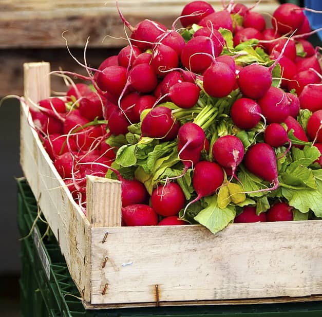 decouv-retz-produits-frais-et-locaux-chez-vous-en-un-clic-livraison-pornic-agglo-et-pays-de-retz-legumes-radis-cagette(2)
