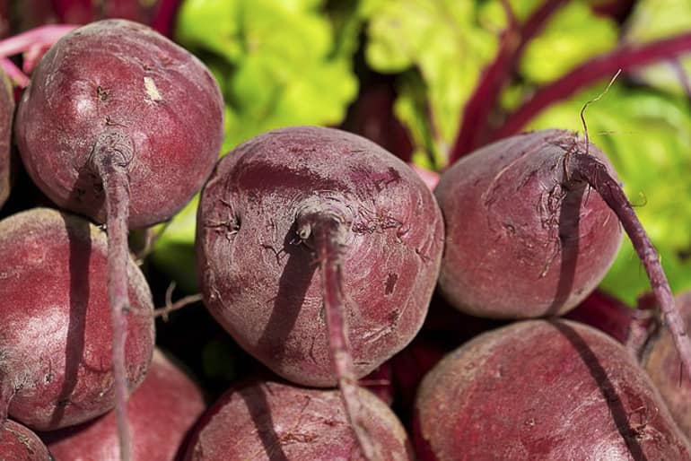 decouv-retz-produits-frais-et-locaux-chez-vous-en-un-clic-livraison-pornic-agglo-et-pays-de-retz-legumes-radis-pointes