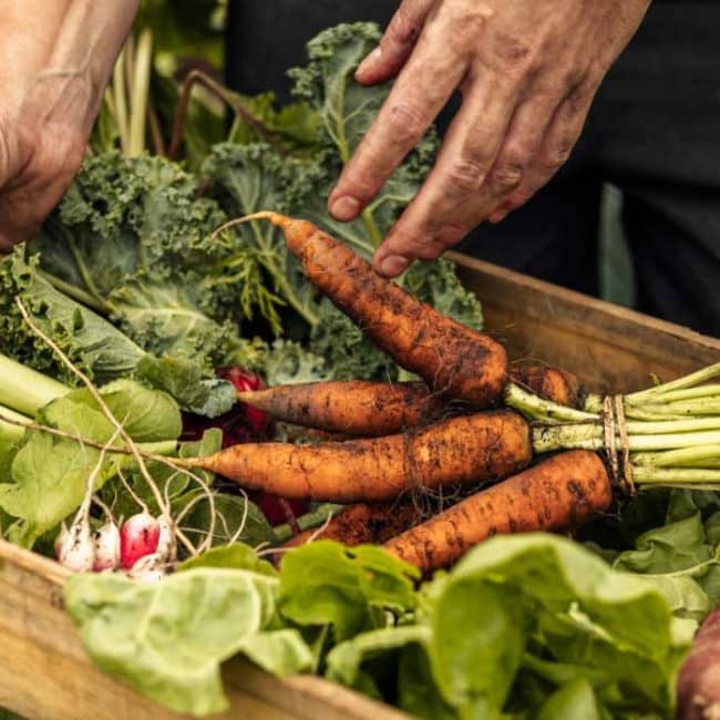 decouv-retz-producteur-ferme-de-la-sergonne