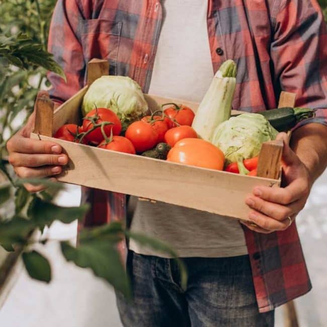 decouv-retz-producteurs-fruits-et-legumes